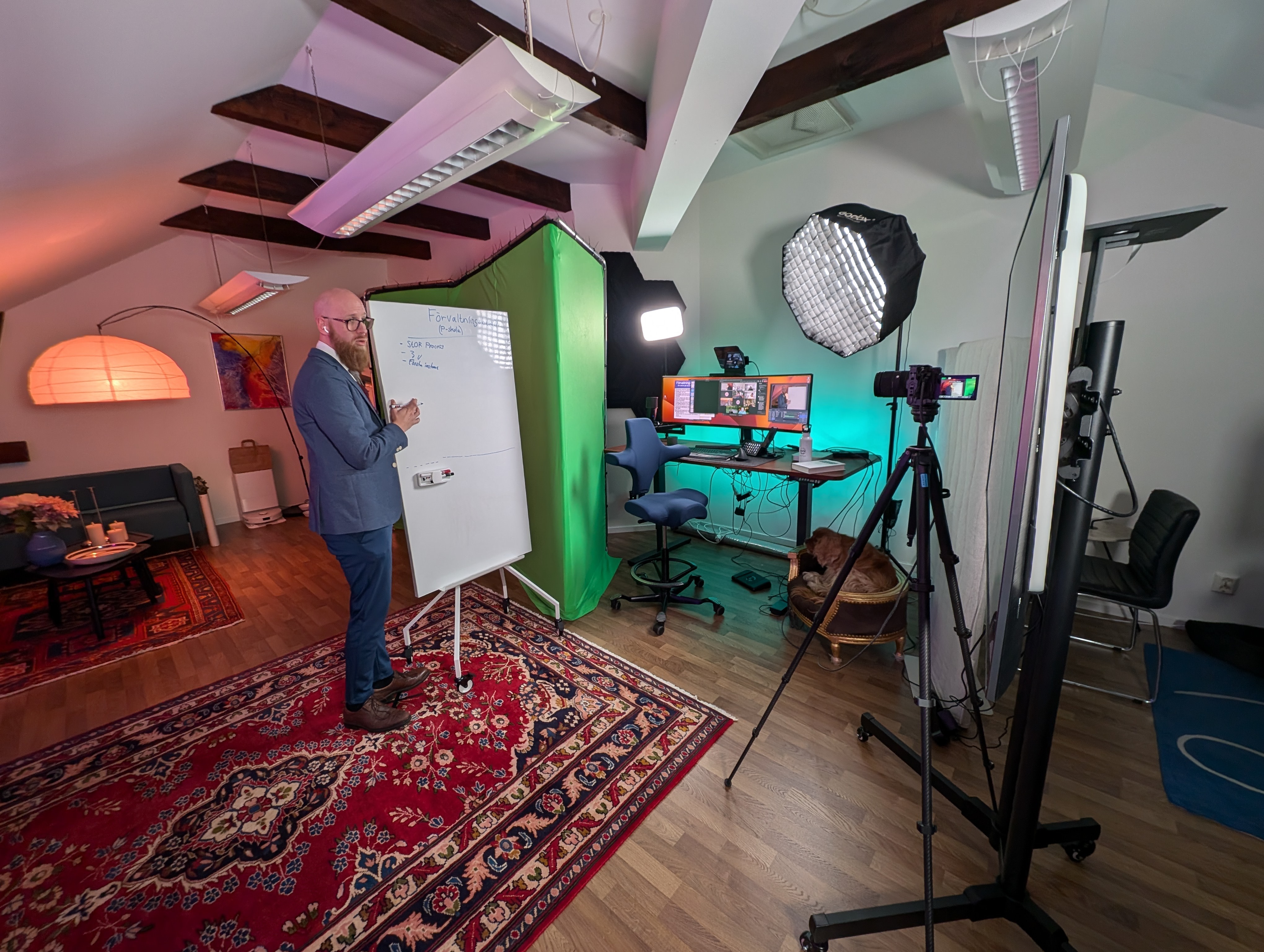 Webinar som skolskjutskostnader